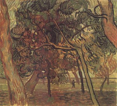 Study of Pine Trees (nn04), Vincent Van Gogh